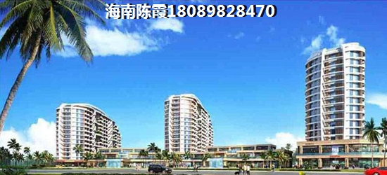 碧桂园·新城·华府活动现场